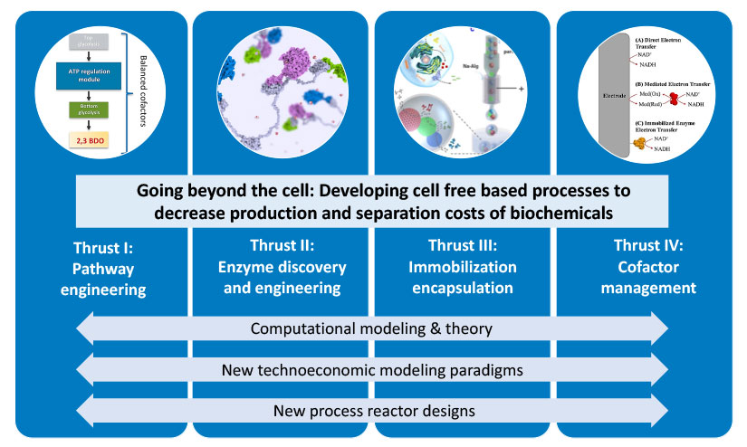 Illustration of “Going beyond the cell: Developing cell free based processes to decrease production and separation costs of biochemicals” with Thrust 1: Pathway engineering, Thrust II: enzyme discovery and engineering, Thrust III: immobilization encapsulation, and Thrust IV: cofactor management as related to computational modeling and theory, new technoeconomic modeling paradigms, and new process reactor designs.