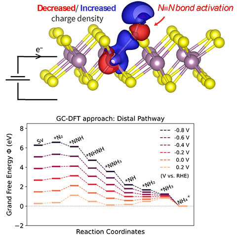Theoretical insight into the effects of electrified interfaces for nitrogen reduction on 1T′-MoS2 sulfur vacancies