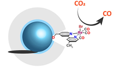 Silicon nanocrystal-electrocatalyst hybrid solar fuels model assembly.