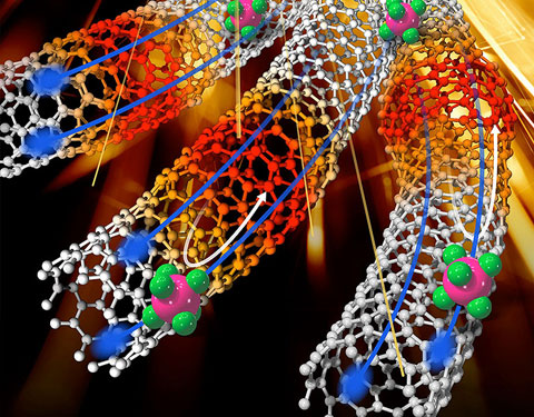 Illustration of three white mesh tubes that are red about halfway along their length. Two blue strands with heads are within each tube. Each tube has a molecule (pink ball with six smaller attached green balls, white arrow showing direction of motion) on its surface.