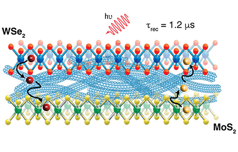 Schematic of the mixed-dimensionality hetero-trilayer composed of a thin film of SWCNTs between two monolayer semiconductors (WSe2 and MoS2). Photoinduced excitons are rapidly split into free charges that can diffuse to opposite ends of the trilayer, hindering recombination due to the spatial separation of charges.