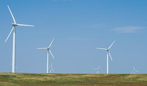 Photo of a utility-scale wind farm.