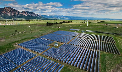 Solar panel arrays in a field
