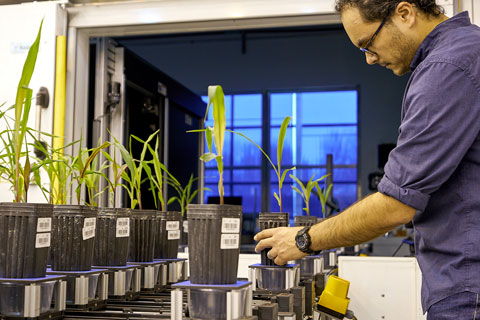 Danforth Plant Science Center