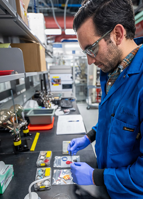 A researcher in a laboratory examines plastics recovered from the Delaware River.