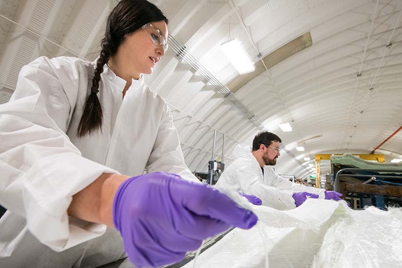 Researchers working in a lab