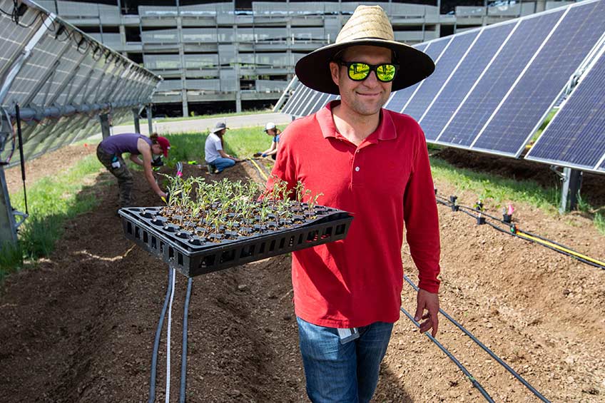 Photograph of a man in a red shirt carrying a tray of seedlings, with solar panels in the background.