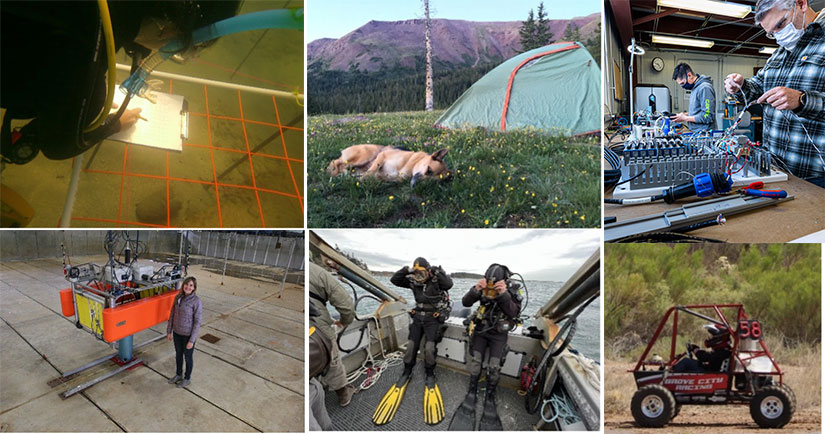 College of images of various marine energy careers and hobbies