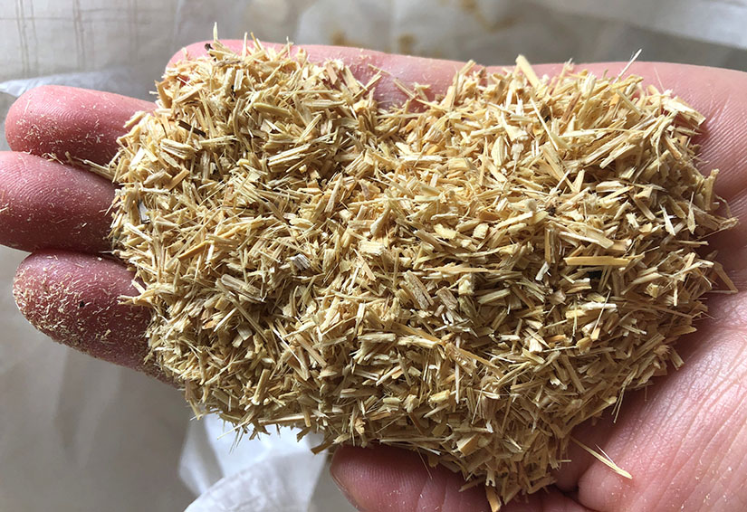  A hand holds what looks like sawdust in a clump, but it’s XanoFiber. 