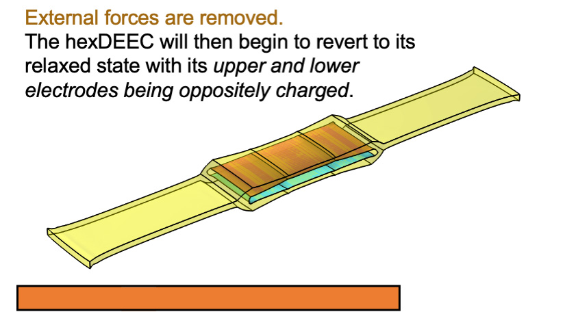 A hexDEEC&nbsp;with external forces removed, starting to revert to its relaxed state with oppositely charged electrodes