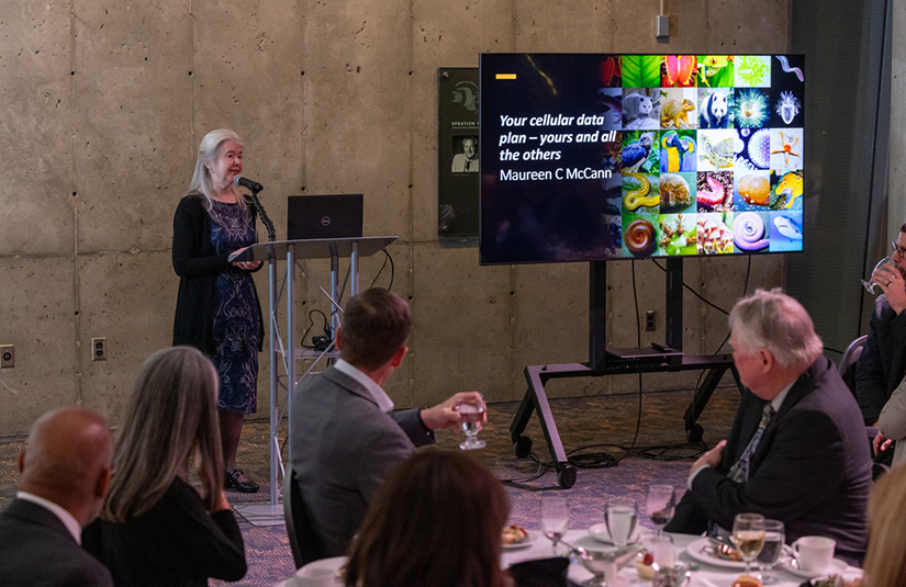 A person on a podium speaking to a crowd.