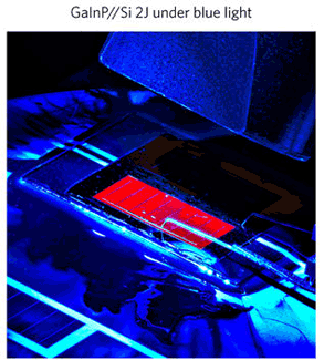 GailnP/SI 2J under blue light.