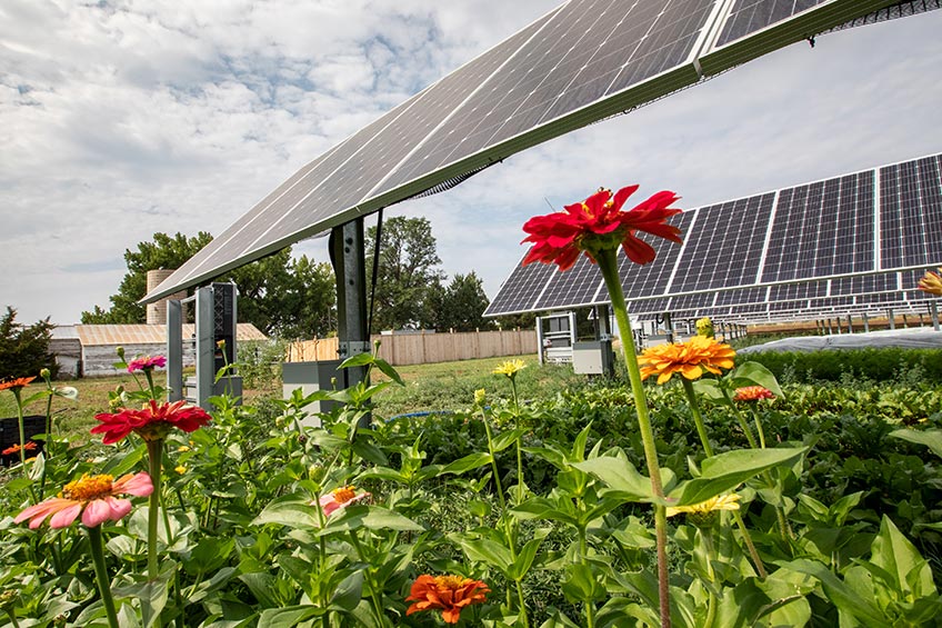 Flowers are shown in the foreground beneath solar panels.