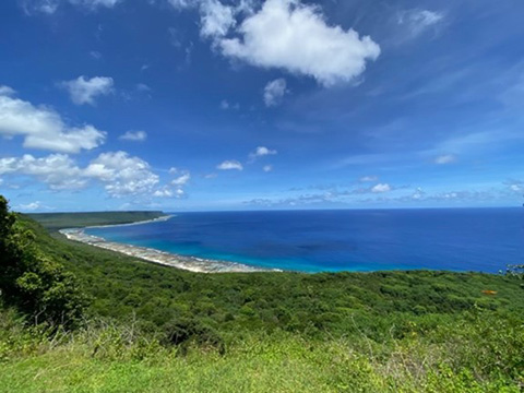 Green vegetation in front of a coastline and the ocean.