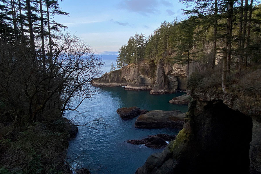 A cape surrounded by pine trees.