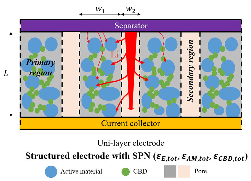 Two-dimensional representation of a structured electrode with a so-called secondary pore network. The electrode has a rectangular shape, divided into different regions. The primary region contains pore in grey, active material in blue, and additive noted carbon binder domain in green. Secondary region contains only pore in light pink. Separator used to avoid contact between anode and cathode is represented in magenta at the top. Current collector is represented in orange. Lithium ion diffusion path is represented in red arrows, with larger arrows within the secondary region. The different parameters noted in the figure are w, for the region width, L for the electrode thickness, and epsilon for the different volume fractions of pore, active material and carbon binder domain. Below the reference electrode on the right side, the system of axis is indicated, with a vertical line for the through-plane direction, and an horizontal line for the in-plane direction.