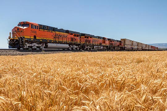 A train traveling on tracks through a field of long grass