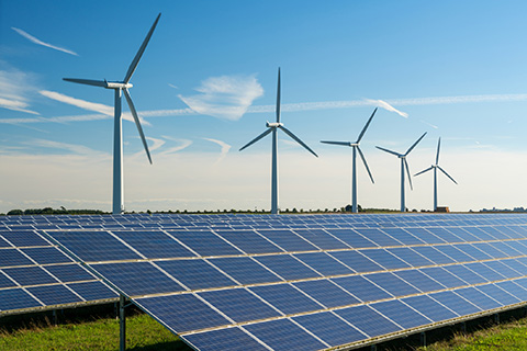 Rows of solar panels are lined up to the horizon, with five wind turbines in the background against the sky.